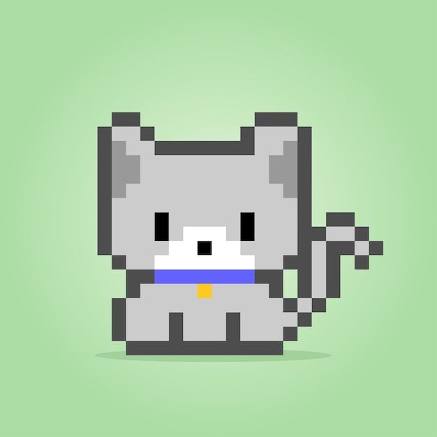 gato